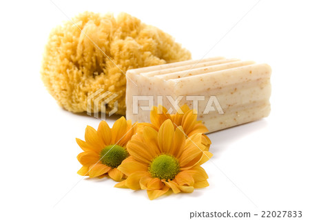 natural sponge, soap and flowers natural sponge, soap and flowers 22027833