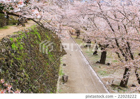 Komoro Castle 22028222