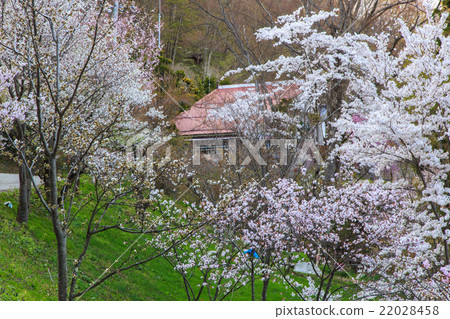 Takanori Yamanoura Village Takanori Yamanoura Village 22028458
