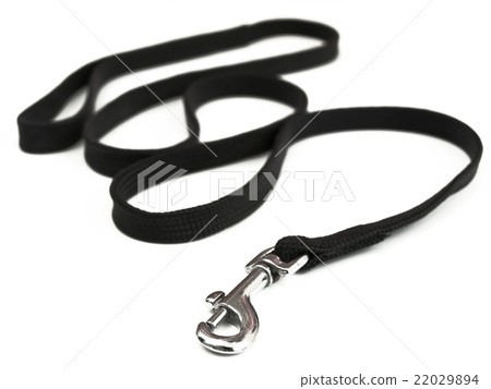 Dog-lead Dog-lead 22029894