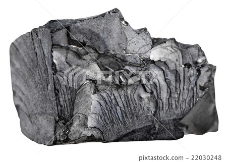 piece of raw shungite gemstone isolated on white 22030248
