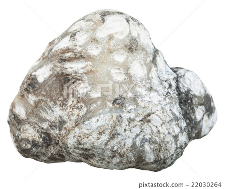 rock of raw cacholong (milky white opal) gemstone rock of raw cacholong (milky white opal) gemstone 22030264