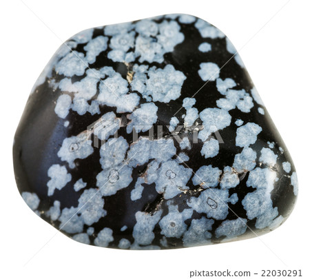 polished Gray snowflake obsidian gemstone isolated polished Gray snowflake obsidian gemstone isolated 22030291