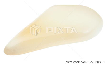 tumbled yellow Moonstone gemstone isolated tumbled yellow Moonstone gemstone isolated 22030338