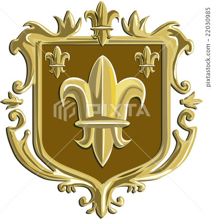 Fleur de lis Coat of Arms Gold Crest Retro 22030985