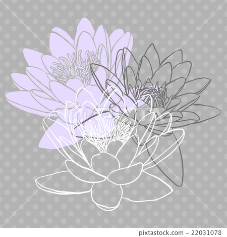 Floral background with water lily Floral background with water lily 22031078