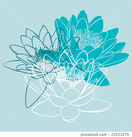 Floral background with water lily 22031079
