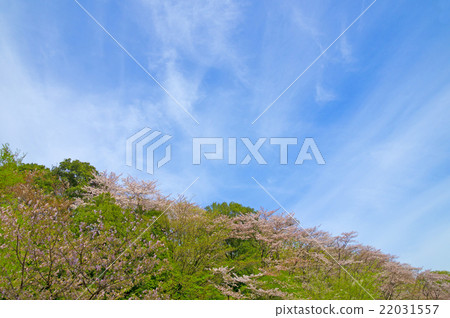 春天的風景 22031557