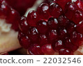 Several pieces of juicy pomegranate 22032546
