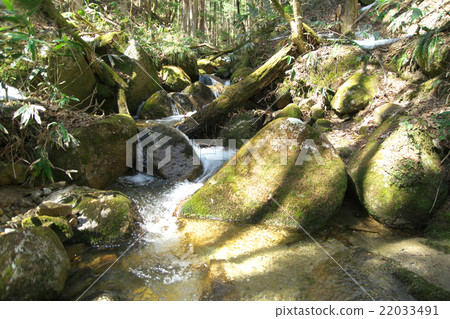 A mountain stream in the source area of the Kiso River A mountain stream in the source area of the Kiso River 22033491