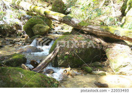 A mountain stream in the source area of the Kiso River A mountain stream in the source area of the Kiso River 22033493