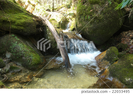A mountain stream in the source area of the Kiso River A mountain stream in the source area of the Kiso River 22033495
