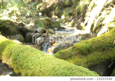 A mountain stream in the source area of the Kiso River A mountain stream in the source area of the Kiso River 22033500