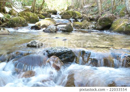 Kiso河源區的山間溪流 22033554