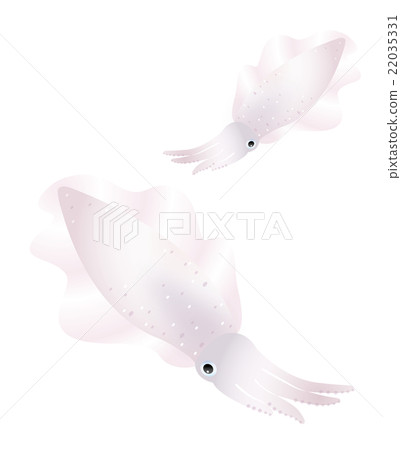 魷魚 22035331