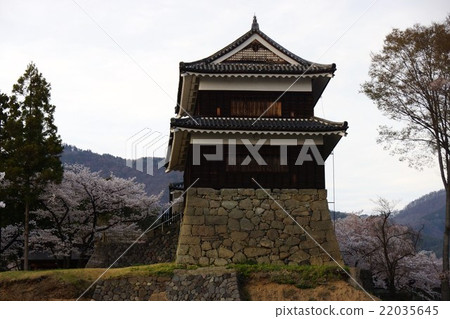 Sanada Maru Motoshiro Spring Shinshu Ueda Castle（真田城堡） 22035645