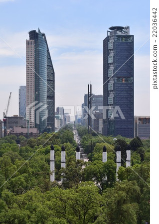 Townscape of Mexico City (Reforma Street) 22036442