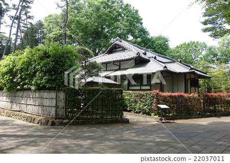 江戶豐多野花園（開元） 22037011