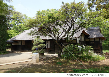 江戶Toyodonto花園（Tenmei房子） 22037012