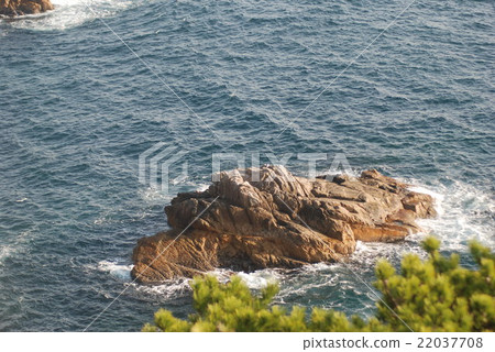 果蠅 果蠅 22037708