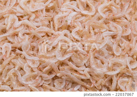 Dried white shrimp Dried white shrimp 22037867