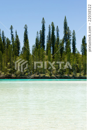 Pischenne Naturrel (New Caledonia, Ille des bains) 22038522