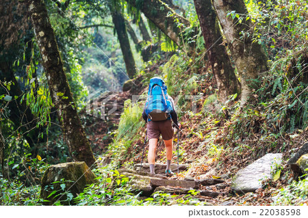 Hike in Nepal jungle Hike in Nepal jungle 22038598