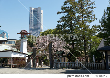 春天Iseyama女皇Daijingu神社，從界域，橫濱的地標塔視圖 22040047
