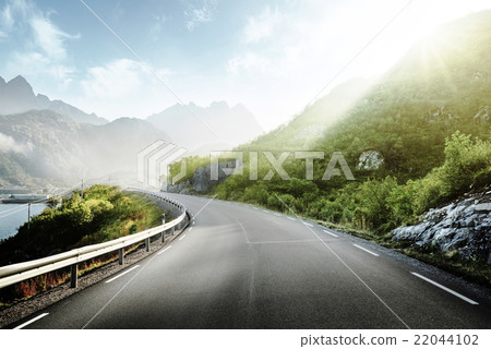 road and mist, Lofoten islands, Norway 22044102