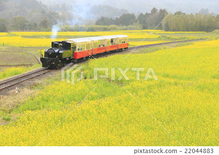 Kominato鐵路Satoyama台車火車 Kominato鐵路Satoyama台車火車 22044883