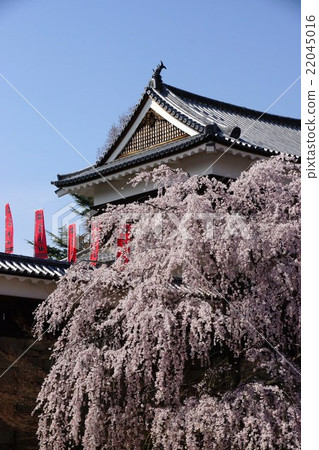 Sanada Maru Motoshiro Spring Shinshu Ueda Castle(真田城堡) Sanada Maru Motoshiro Spring Shinshu Ueda Castle(真田城堡) 22045016