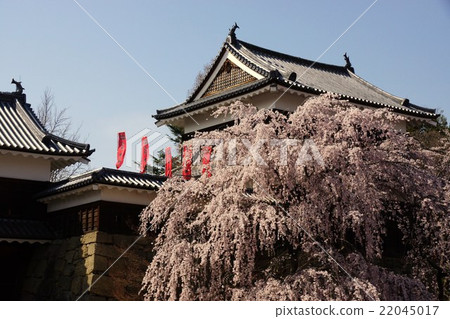 Sanada Maru Motoshiro Spring Shinshu Ueda Castle(真田城堡) Sanada Maru Motoshiro Spring Shinshu Ueda Castle(真田城堡) 22045017