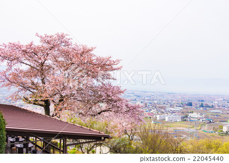 Sakura no Oka Sakura no Oka 22045440