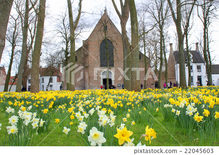 Beguinage Abbey Bruges Belgium 22045603