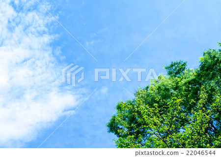 天空和新綠色春天天空白色雲彩和藍天背景材料拷貝空間字符空間積雲重疊圖像 22046544