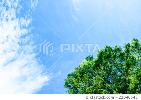 天空和新綠色春天天空白色雲彩和藍天背景材料拷貝空間字符空間積雲重疊圖像 天空和新綠色春天天空白色雲彩和藍天背景材料拷貝空間字符空間積雲重疊圖像 22046545