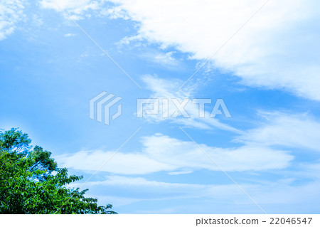 Sky and fresh green spring sky white cloud and blue sky background material copy space character space cumulus overlap image Sky and fresh green spring sky white cloud and blue sky background material copy space character space cumulus overlap image 22046547