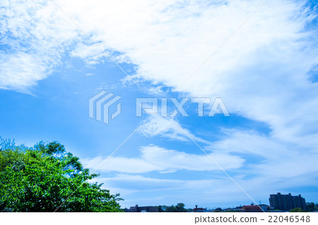 Sky and fresh green spring sky white cloud and blue sky background material copy space character space cumulus overlap image Sky and fresh green spring sky white cloud and blue sky background material copy space character space cumulus overlap image 22046548