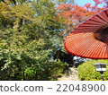 Japanese landscape seen from the tea room 22048900