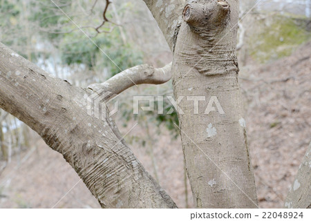 The power of nature 22048924