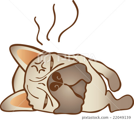 French bulldog 22049139