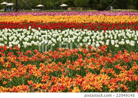 切割場975 切割場975 22049148