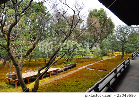 Jewel Temple Garden 22049680