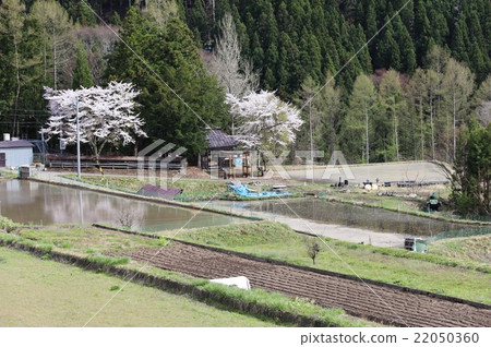 Preparation of rice planting Preparation of rice planting 22050360