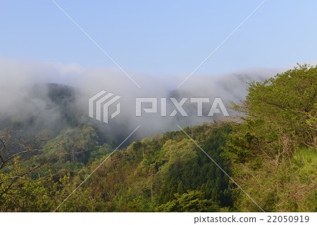 Misty mountain ranges / Hyogo Prefecture Toyooka city 22050919