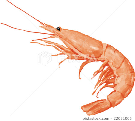 shrimp shrimp 22051005