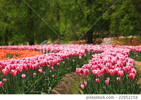 截止場107 22052258