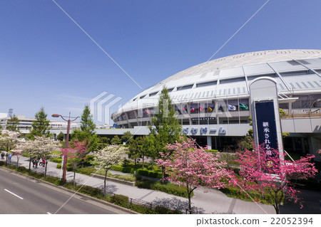 Nagoya dome and dogwood 22052394