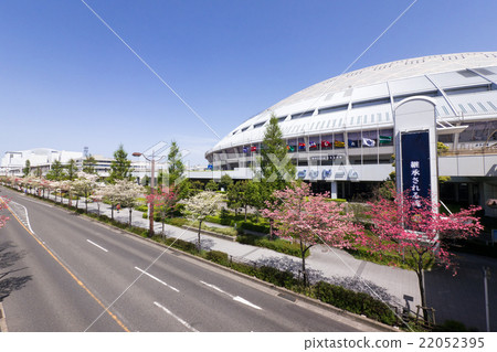 Nagoya dome and dogwood 22052395