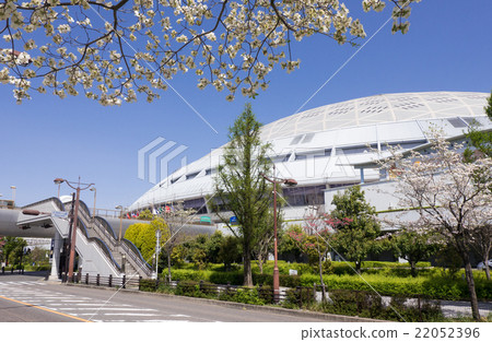 名古屋圓頂和山茱萸 22052396